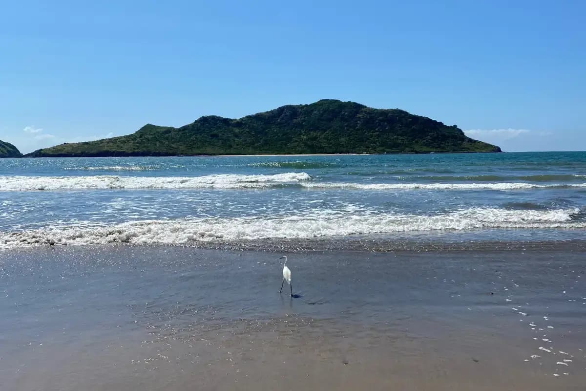 Enjoy the beaches
